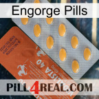 Engorge Pills 43